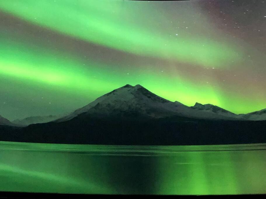 Northern Light Tromsø Exteriör bild